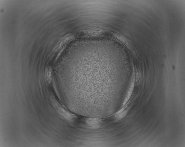 X0000065260142200603031838