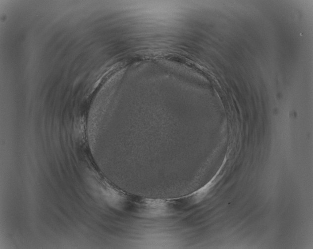 X0000065260144200603031838