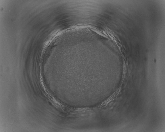 X0000065260145200603031837