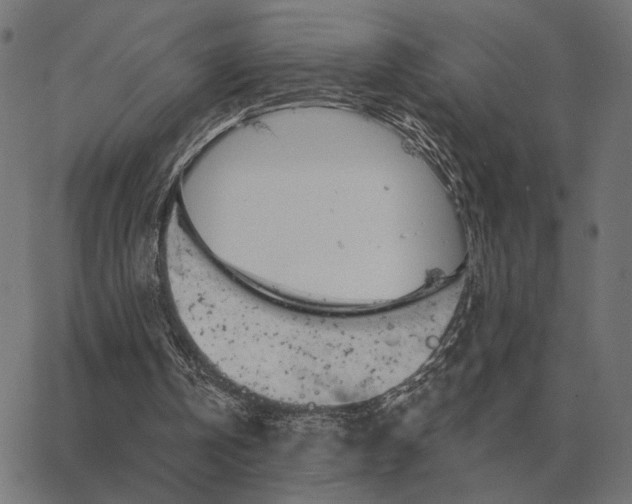 X0000065260146200603031837