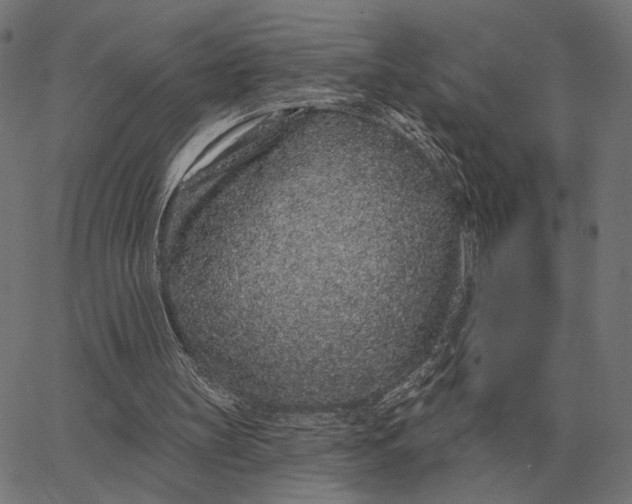 X0000065260147200603031837