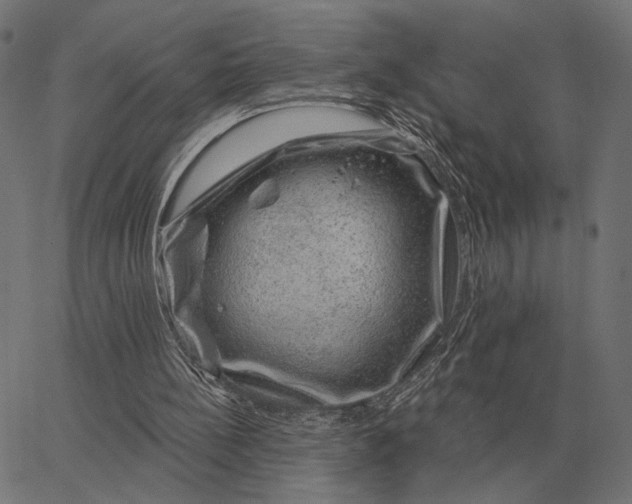 X0000065260148200603031837