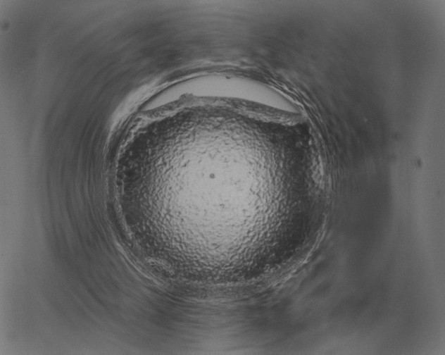 X0000065260149200603031837