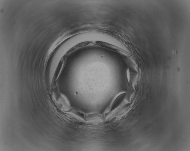 X0000065260150200603031837