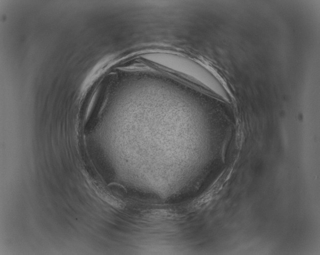 X0000065260151200603031837