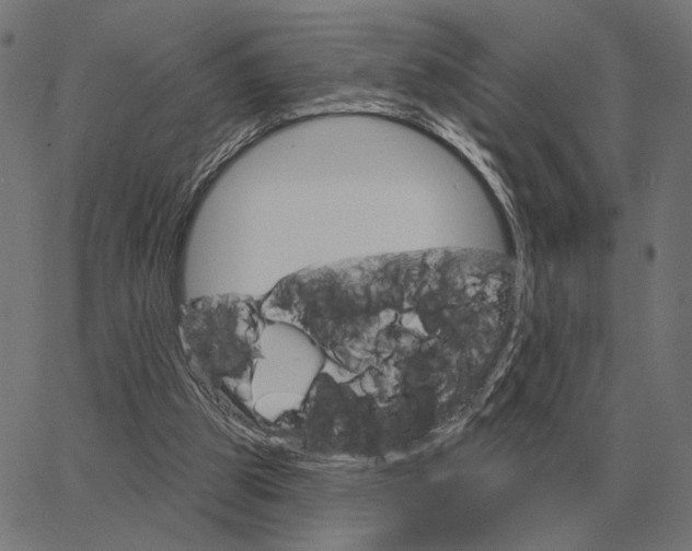 X0000065260153200603031837