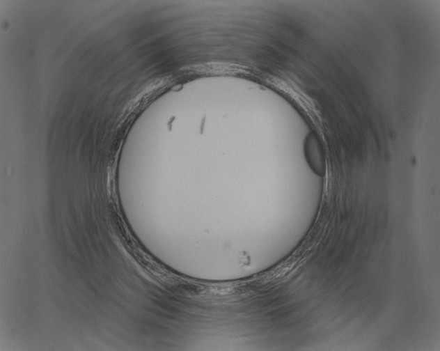 X0000065260157200603031837