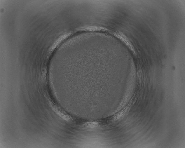 X0000065260159200603031837