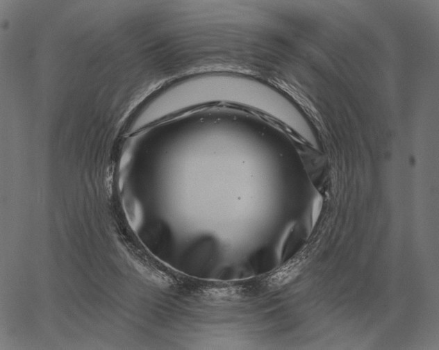 X0000065260160200603031837