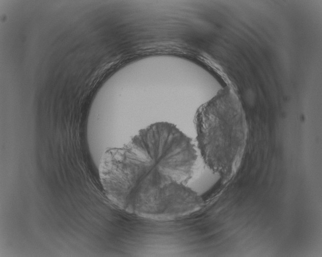 X0000065260161200603031837