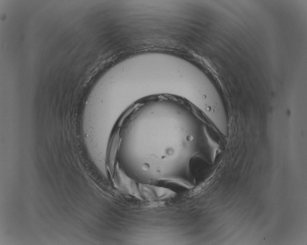 X0000065260162200603031837