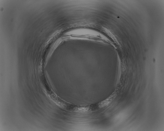 X0000065260163200603031837