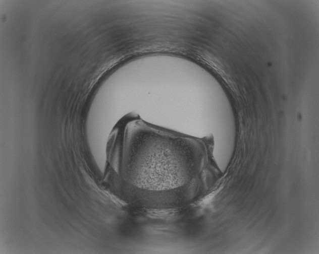 X0000065260164200603031837