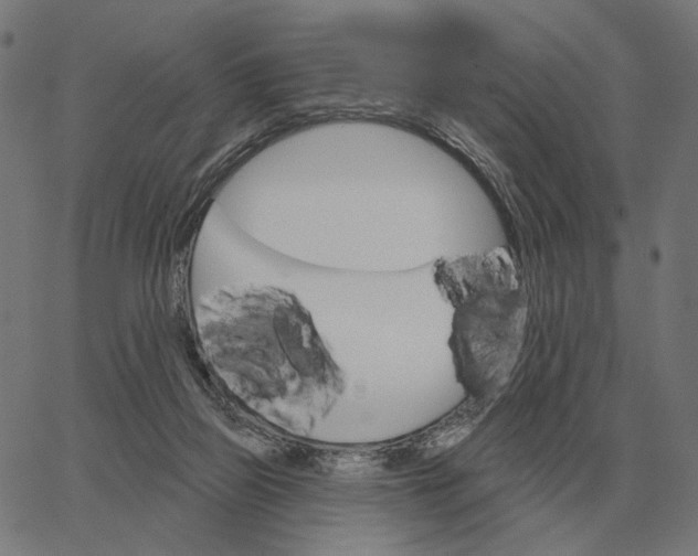 X0000065260165200603031837