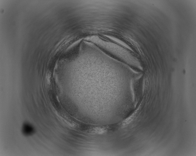 X0000065260166200603031837