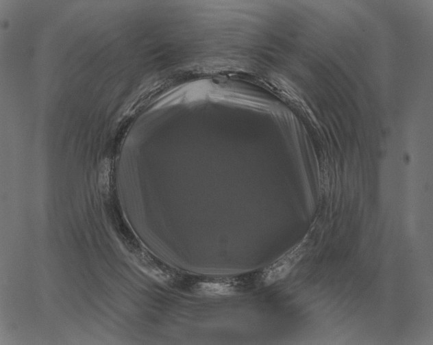 X0000065260167200603031837