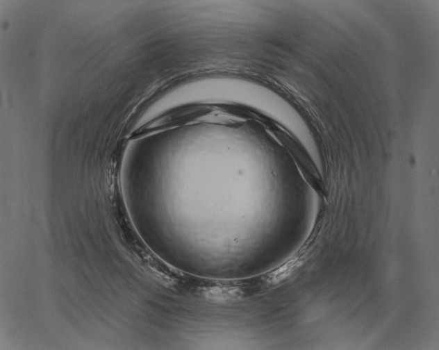 X0000065260168200603031837