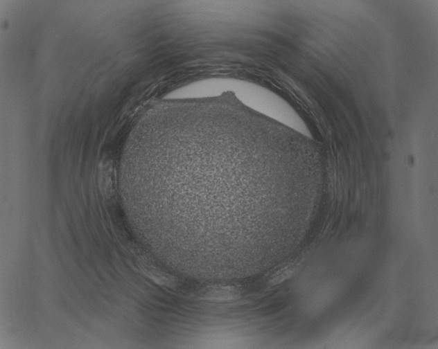 X0000065260169200603031838