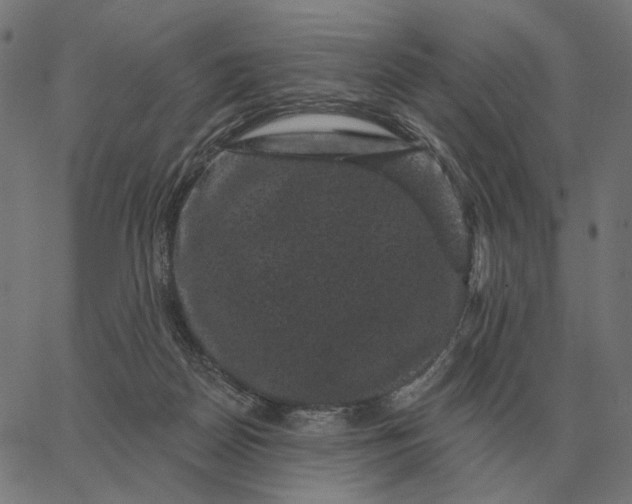 X0000065260170200603031838