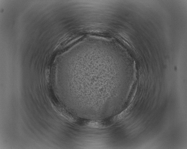 X0000065260171200603031838