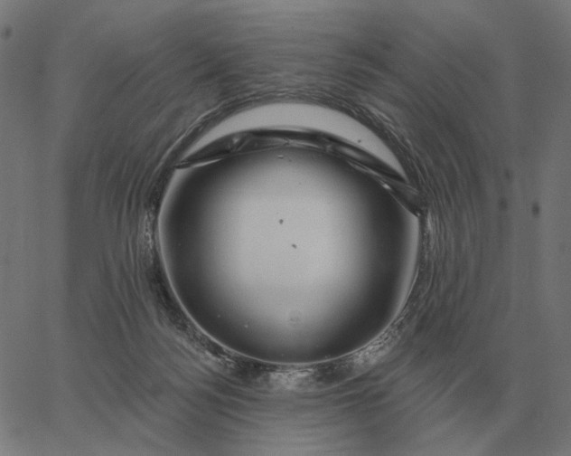 X0000065260172200603031838