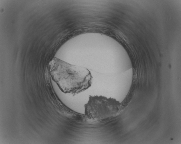 X0000065260173200603031838