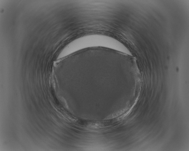 X0000065260174200603031838