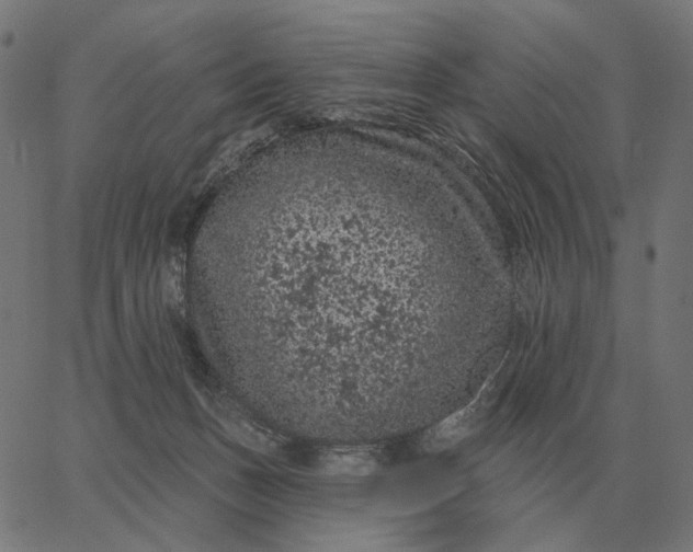 X0000065260175200603031838