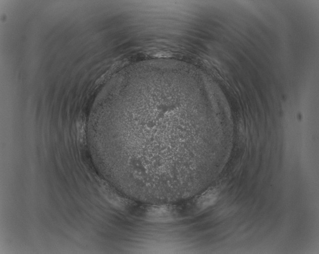 X0000065260177200603031838