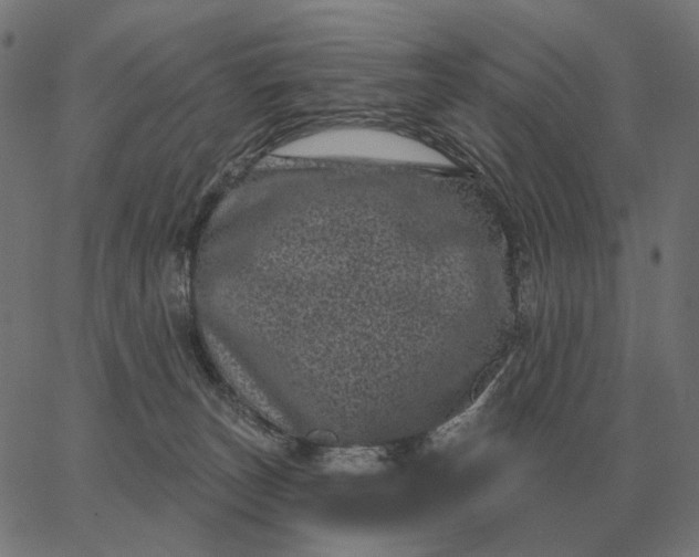 X0000065260179200603031838