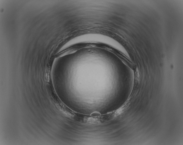 X0000065260180200603031838