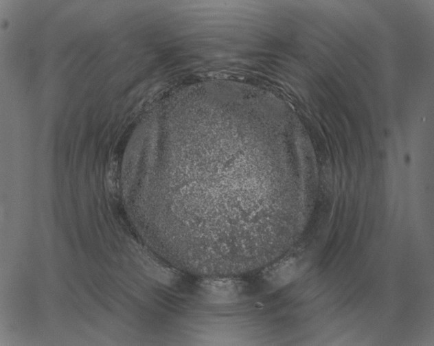 X0000065260181200603031838