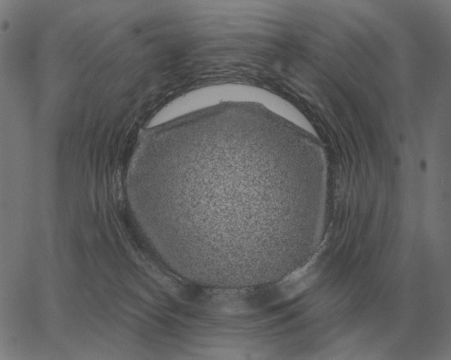 X0000065260182200603031838