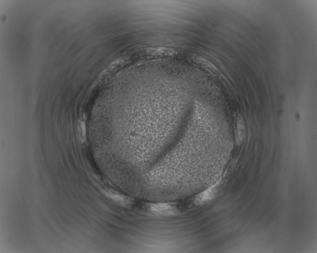 X0000065260183200603031838