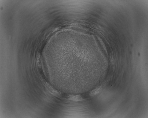 X0000065260185200603031838