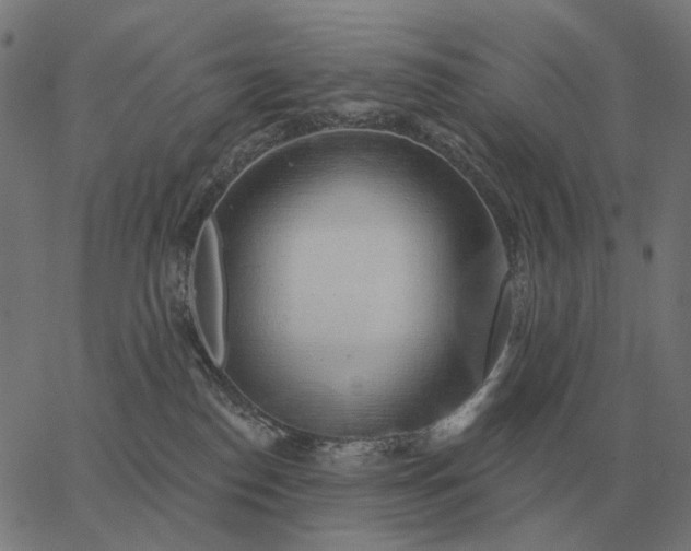 X0000065260186200603031838