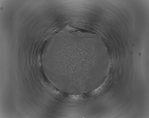 X0000065260187200603031838