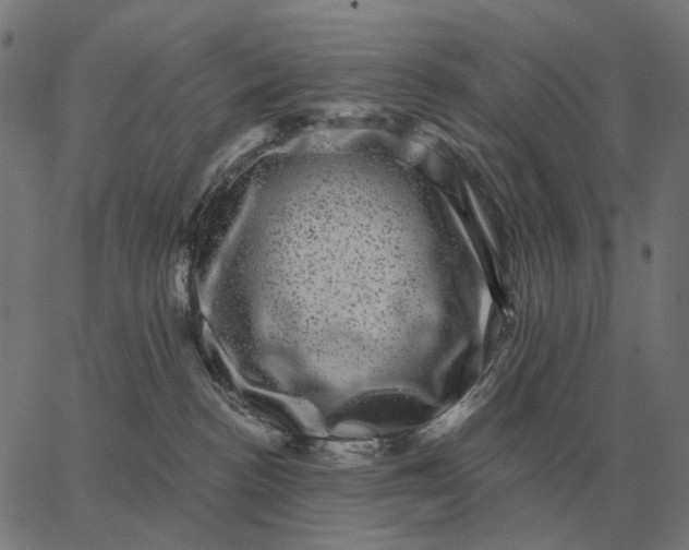 X0000065260188200603031838