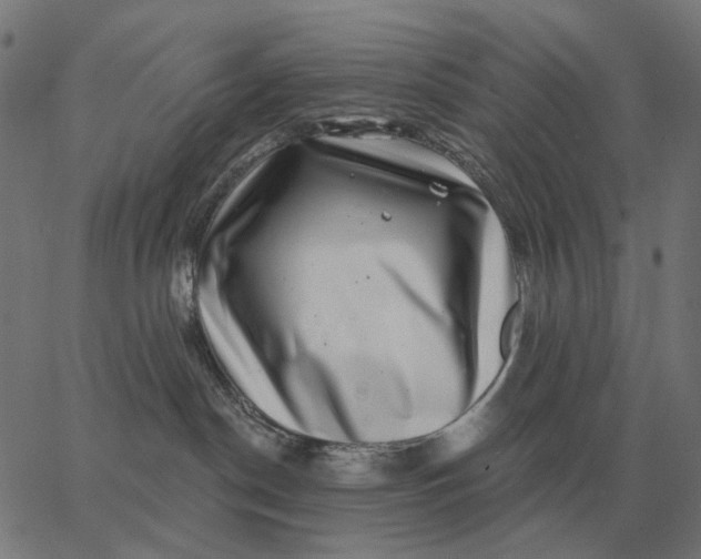 X0000065260190200603031838