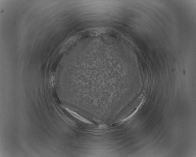 X0000065260191200603031838