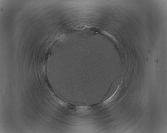 X0000065260192200603031838