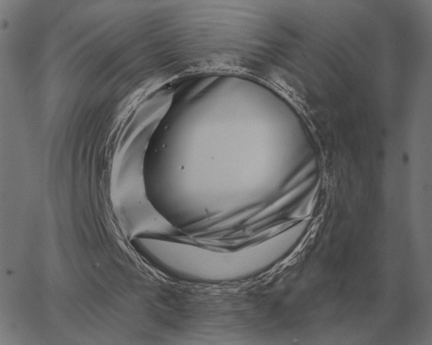 X0000065260193200603031837