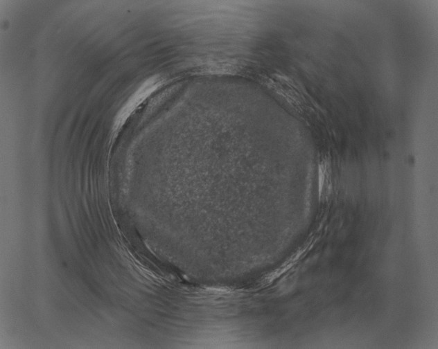 X0000065260195200603031837