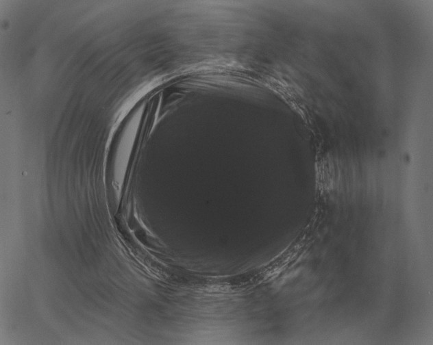 X0000065260196200603031837