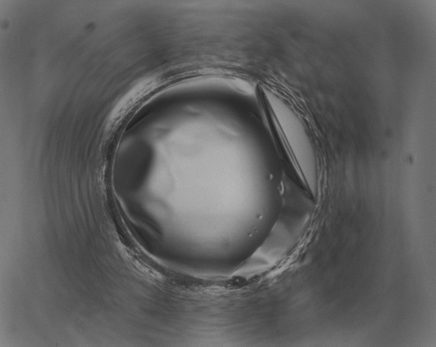 X0000065260197200603031837