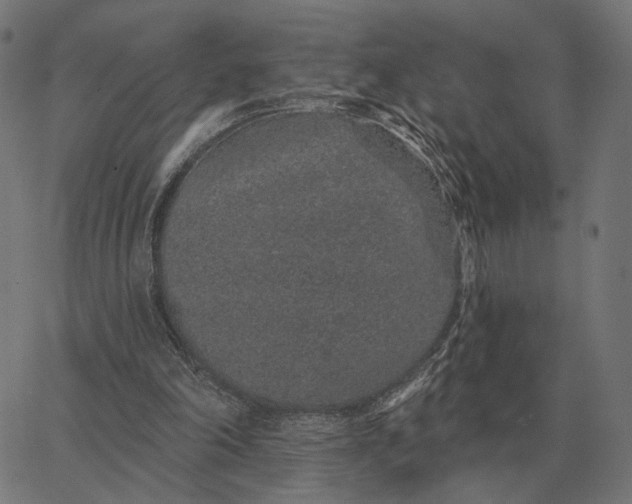 X0000065260198200603031837