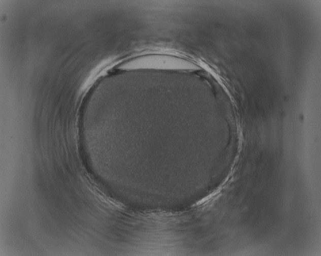 X0000065260199200603031837