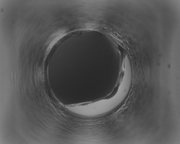 X0000065260200200603031837