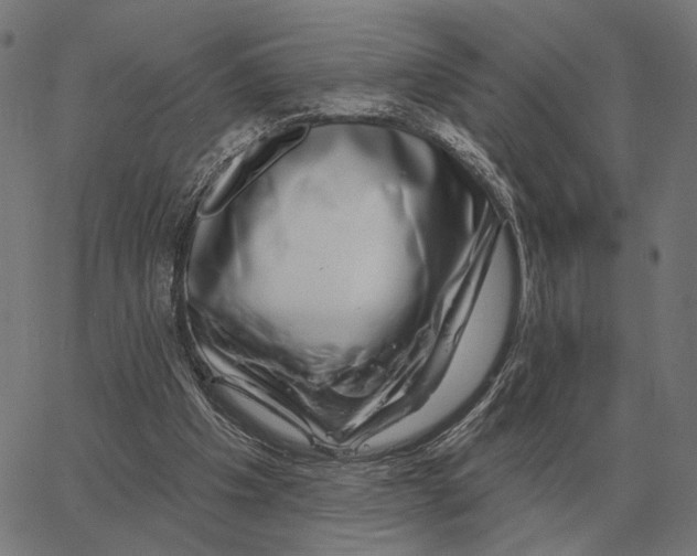 X0000065260201200603031837