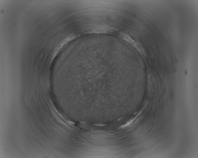 X0000065260203200603031837